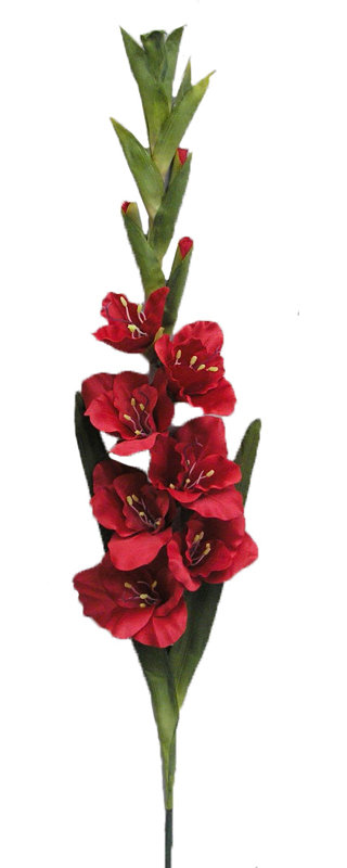 Glaïeul artificiel en aérosol, Rouge / Rouge