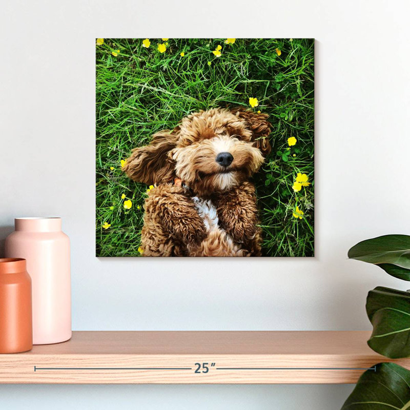 Crowle Happy Cockapoo Dog, H 16 po x l 16 po