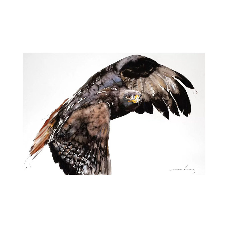 Falcon 1 Piece Wrapped Canvas Wall Art, 101.6 cm H x 66.04 cm W x 3.175 cm D