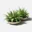 Pot à fleurs Pure Series Lane-1281804844-1208986578-1281804842
