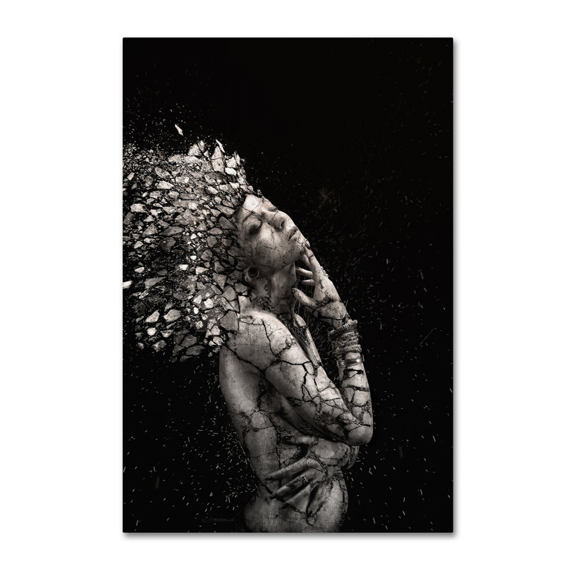 « the fragile squaw », reproduction d’impression sur toile tendue, H 47 po x l 30 po