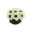 Anemone Floral Arrangement in Small Ceramic Pot