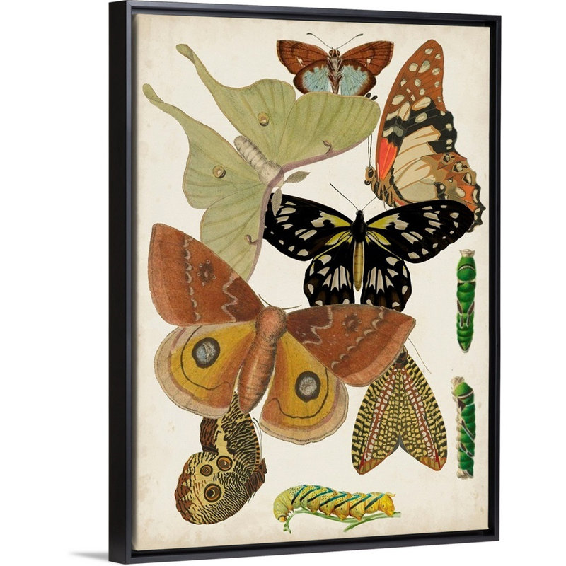 Décoration murale pour enfants papillons, H 36 po x l 12 po x P 1,2 po, Cadre pour toile flottant noir