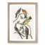 Flycatcher Birds by John Audubon - Picture Frame Painting Print-55576239-55576241