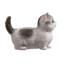 Animals Weather Resistant Polyresin Garden Statue-1696497334