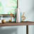 Modern & Contemporary Glass Bookends