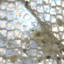 The Holiday Aisle® - Fauve scintillant illuminé 36 po