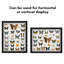 Delcastillo Shadowbox 1.5” Deep Box Frame for Objects with Glass Front-252509922-252754842