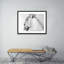 Lioness Profile Print by Amy Bautz-48618904-48618905