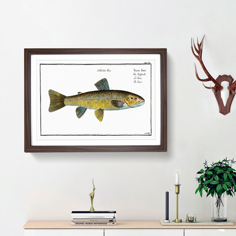 Trout Fish by M.E. Bloch - Picture Frame Painting Print, 36cm H x 48cm W x 2cm D, Walnut Framed
