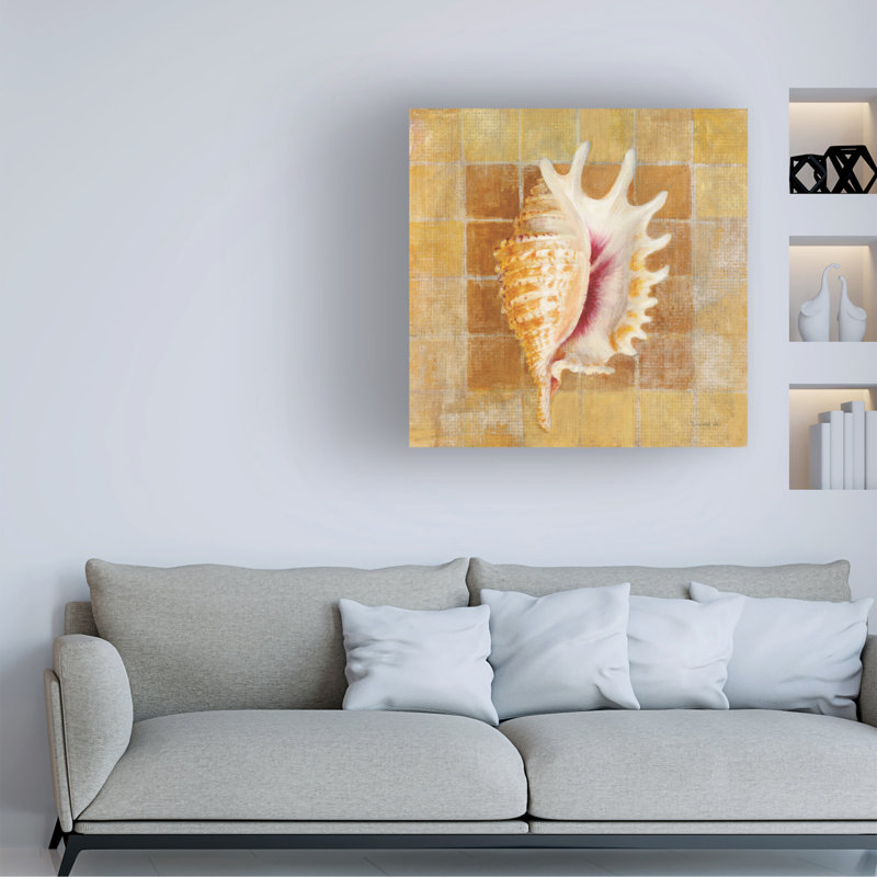 Art sur toile Danhui Nai Seashell II, H 24 po x l 24 po
