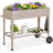 Nicle Elevated Planter