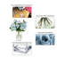 Arrangement floral rose dans un vase-656490576