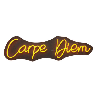 Carpe Diem Neon Sign - 8" x 28"