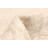 Timeless Beige Rug 5'3" x 8'0"
