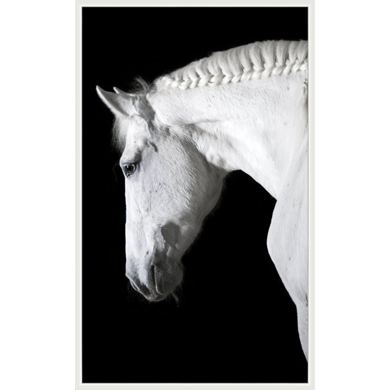Ollie' Framed Photographic Print on Canvas