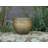 Colin Planter-159122913-159122912