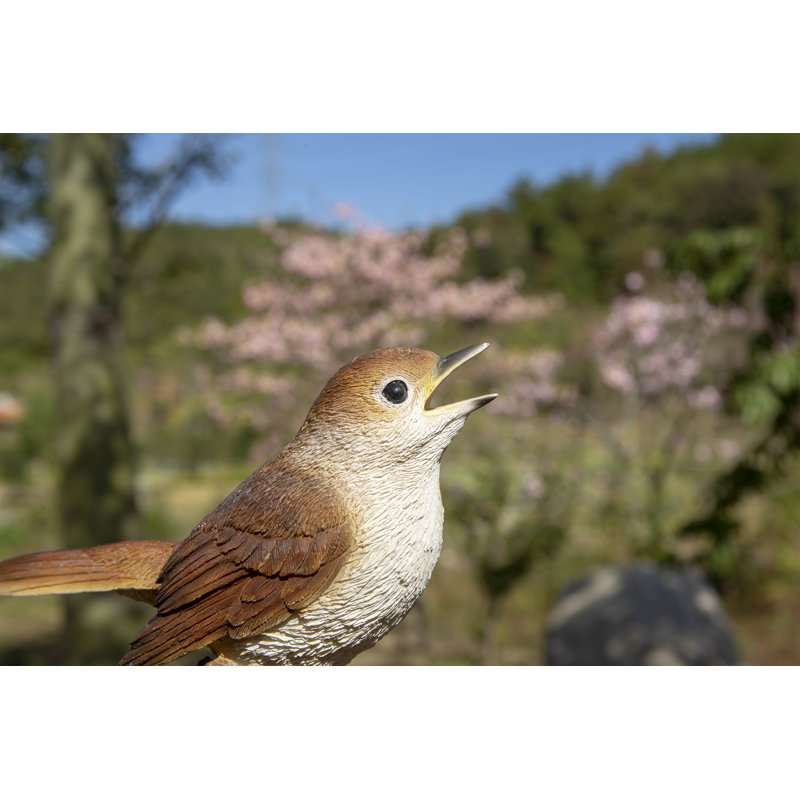 Brown Resin Motion Activated Singing Nightingale Statue