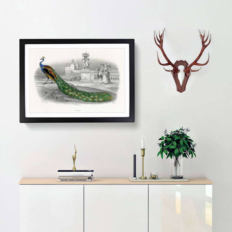 Admiring a Peacock - Framed Print, Black Framed, 48cm H x 65cm W x 2cm D