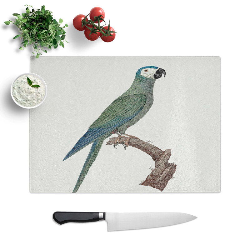 Tempered Glass Bellied Macaw Parrot by F. Levaillant Chopping Board, 39 cm W x 28.5 cm L