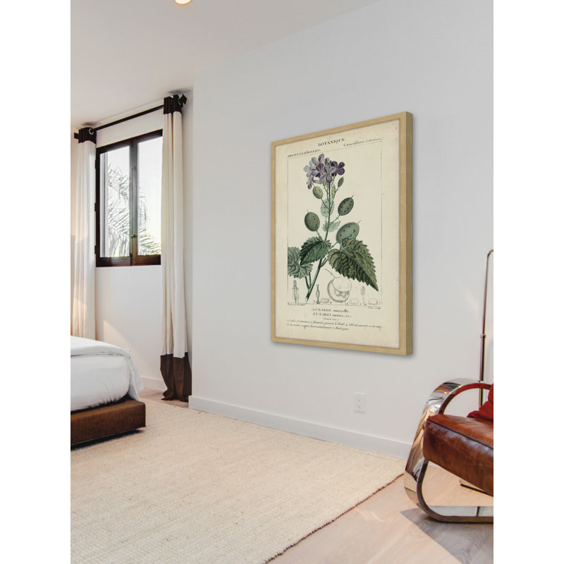 «Botanique Study in Lavender III», reproduction d'impression encadrée, H 18 po x l 12 po x P 1,5 po