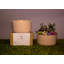 REFRESH Scented Designer Candle