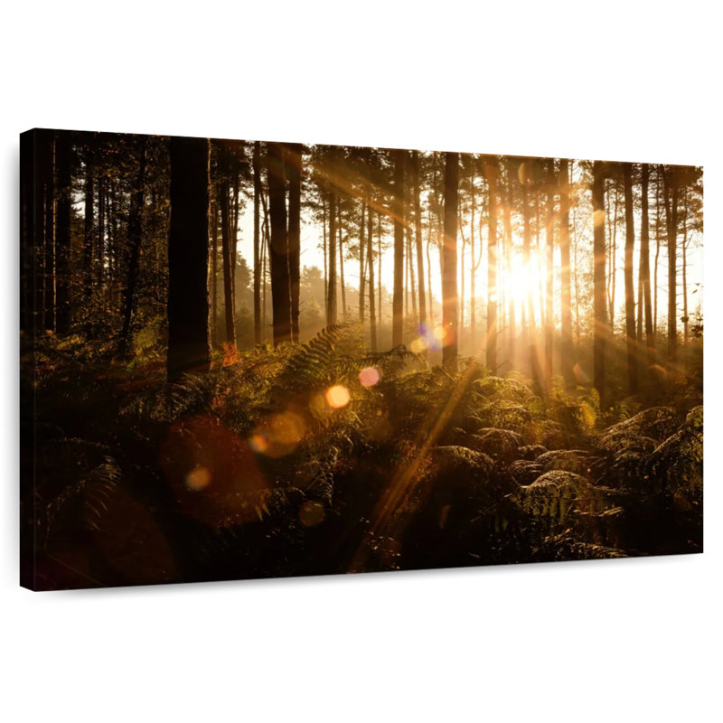 Alvord Pine Forest Sunrise, 20" H x 30" W