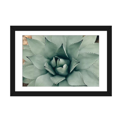 " Mint Succulent I " by Chelsea Victoria