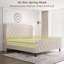 Bed Frame-671196565-671196563