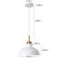 Luminaire suspendu simple à 1 lumière Gibran-1321599024