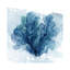 Coastal Coral II by Carol Robinson - Painting on Canvas-2140648346-2140648344