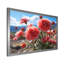 Carnations Field Vibrant II, reproduction d'art sur toile-1151642610-1151642609