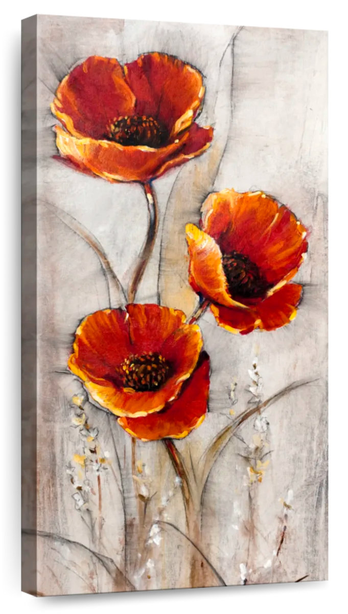 Winston Porter Red Poppies On Taupe I - Wayfair Canada