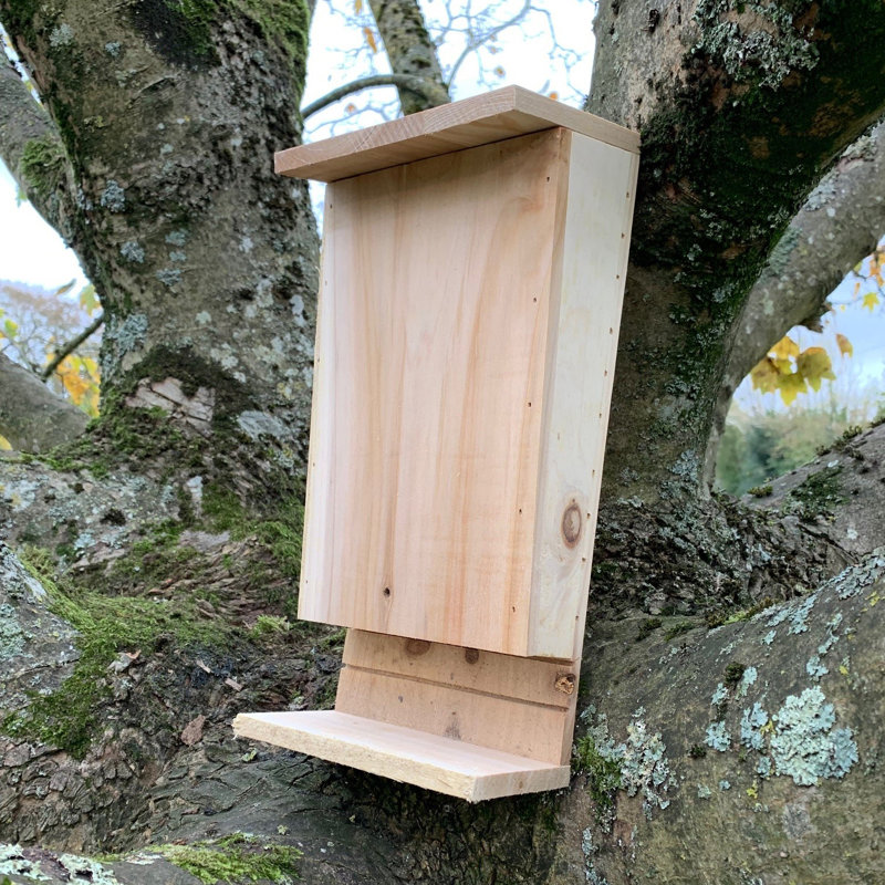 Izaguirre Mounted Bat House