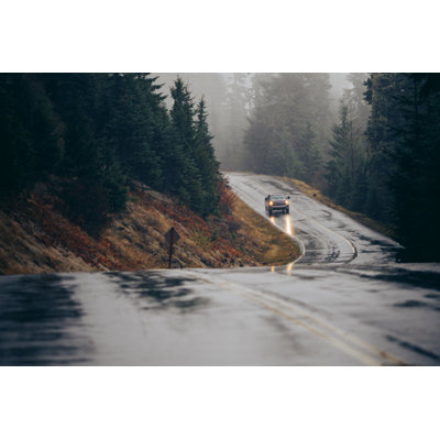 Pacific Northwest Forest par Timnewman