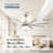  52-inch Modern Ceiling Fan with Light, Remote Control Smart Fan, 8 ABS Blades, DC Motor, 6 Speeds, Downrod Mount for Bedroom, Living Room-735249398-735249400