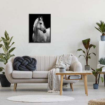 Ba-312-Framed " Horse On Black Portrait " by Danita Delimont