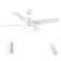 44 In Intergrated Led Ceiling Fan Lighting With Abs Blade