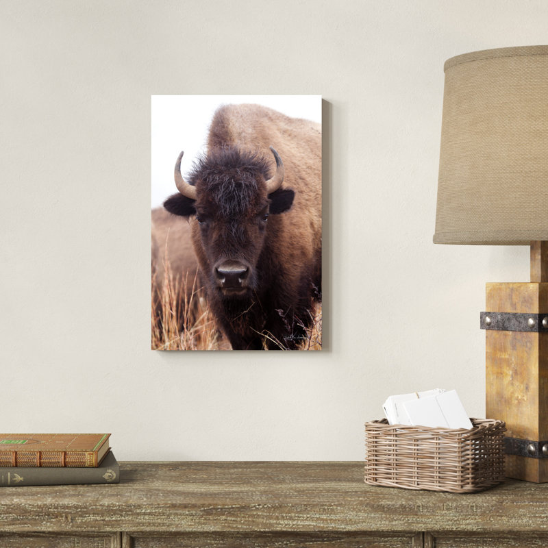 " American Bison IV " by Debra Van Swearingen, 18" H x 12" W