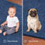 Royal Blue_Set of 20_Furnish My Place Modern Plush Solid Royal Blue Colour Rug - Pets And Kids Friendly Rug,  Indoor/Outdoor Mat, Area Rugs Great For Kids,  Pets, Living RoomEvent,Wedding-1220501257