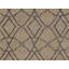 Geometric Area Rug in Brown