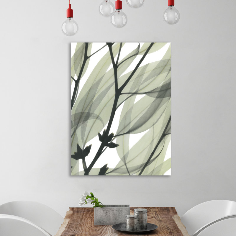Eucalyptus Safari - Wrapped Canvas Print, 102 cm H x 76 cm W