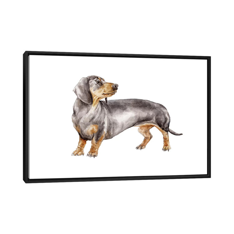 «Black and Tan Dachshund», reproduction sur toile, H 18 po x l 26 po x P 1,5 po, Pas de tapis, Toile avec cadre noir
