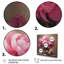 Pivoine rose verte captivante I sur toile-395020048-395020143