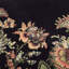 Flora Fantasia Machine Woven Wool Floral Area Rug in Noir/Pink/Green/Yellow