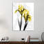 Iris - Wrapped Canvas Print-436993623