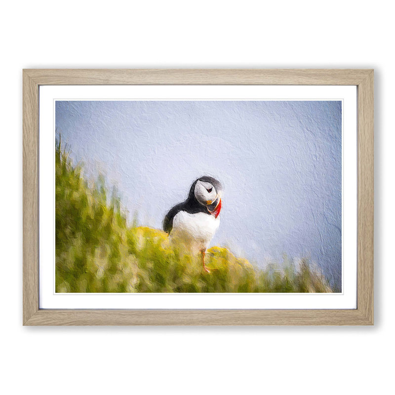 Lone Atlantic Puffin - Picture Frame Painting Print, 27cm H x 36cm W x 2cm D, Oak Framed