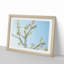 A White Cherry Blossom Tree in Abstract - Framed Print-55629174-55629168