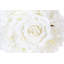 Riley Roses Arrangement in Planter