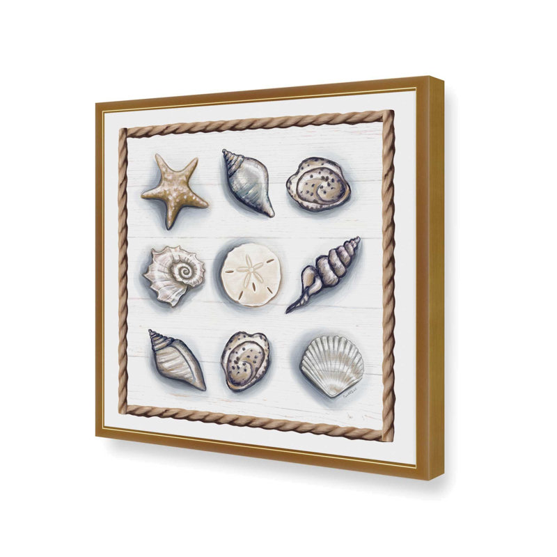 «Beach Shells II» par Elizabeth Tyndall, reproduction d'art, L 20 po x H 20 po, Or, Impression encadrée